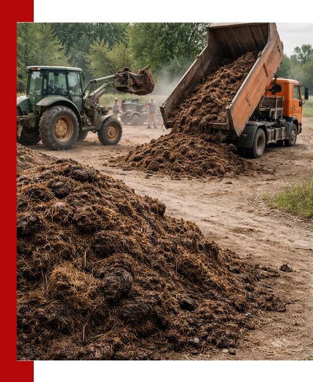 Доставка навоза самосвалами в Саратове для сельхозпотребностей