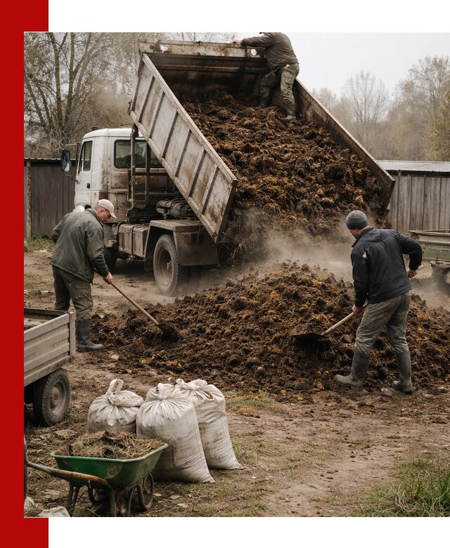 Доставка коровьего навоза самосвалом в Саратове
